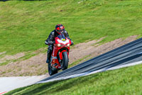 Oulton-Park-20th-March-2020;PJ-Motorsport-Photography-2020;anglesey;brands-hatch;cadwell-park;croft;donington-park;enduro-digital-images;event-digital-images;eventdigitalimages;mallory;no-limits;oulton-park;peter-wileman-photography;racing-digital-images;silverstone;snetterton;trackday-digital-images;trackday-photos;vmcc-banbury-run;welsh-2-day-enduro